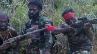 KKB Tembak 2 Warga Papua di Ilaga