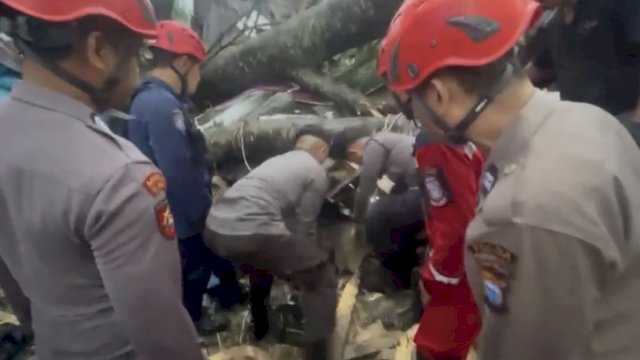 Proses evakuasi pohon tumbang di Perumahan Puri Pattene, Kecamatan Biringkanaya, Kota Makassar, Rabu (4/1/2023).