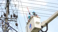 Sistem Kelistrikan Sulbagsel Membaik, PLN Terus Percepat Upaya PLN Pemeliharaan Infrastruktur