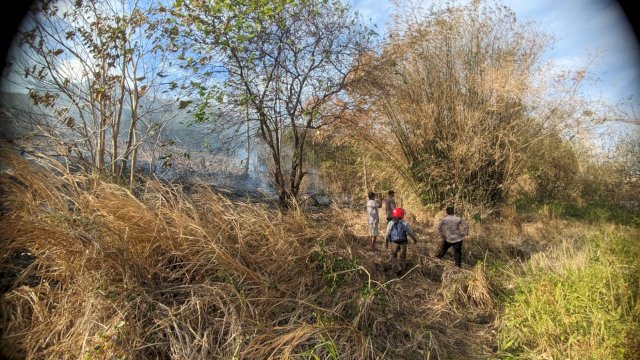 Kebakaran lahan di Sidrap