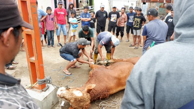 PNM mengajak karyawannya untuk sedekah kurban melalui berbagai aktivitas yang dikonversi menjadi nominal donasi.