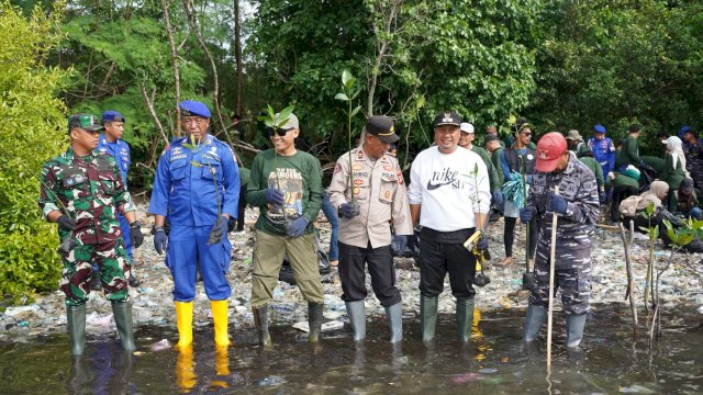 Penanaman Mangrove di Kegiatan PLN Eco Rangers 'Terangi Negeri Lestarikan Bahari' di Pesisir Pantai Lowita Suppa Kabupaten Pinrang